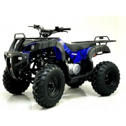KXD Quad T-Rex Big 200cc R10