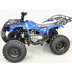 KXD Quad T-Rex Big 200cc R10