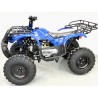 KXD Quad T-Rex Big 200cc R10