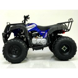 KXD Quad T-Rex Big 200cc R10