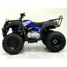 KXD Quad T-Rex Big 200cc R10