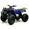 KXD Quad T-Rex Big 200cc R10