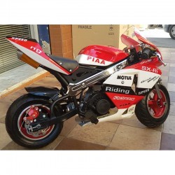 MINIMOTO GP Racing 49cc