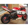 MINIMOTO GP Racing 49cc
