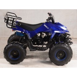 KXD QUAD Cayenne 125CC R8