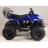 KXD QUAD Cayenne 125CC R8