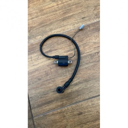 BOBINA ORIGINALE PER QUAD KAYO A150 AU150 A180 AU180