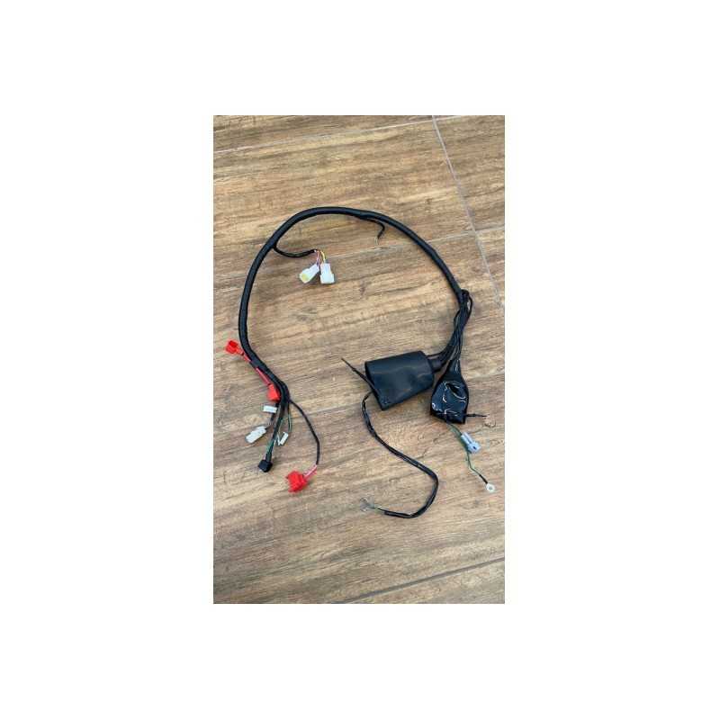 CABLAGGIO QUAD KAYO A200 A250 A300