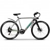 NCX A-SEK 28'' 250W 36V
Bici elettrica