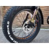 NCX QUASAR 20" 250W 36V