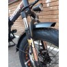 NCX QUASAR 20" 250W 36V