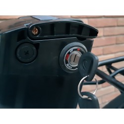 NCX STRESSED ALLOY 20" 250W 36V
