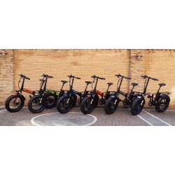 NCX BOOPER 20" 250W / 500W 48V 16Ah