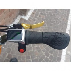 NCX TIGERSHARK 1000W 36V monopattino