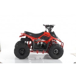 MIKRO 110cc