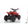Quad CVM MIKRO 110cc