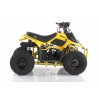 Quad CVM MIKRO 110cc