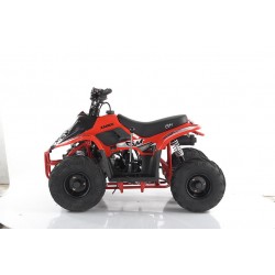 Quad CVM MIKRO 110cc