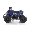 Quad CVM MIKRO 110cc
