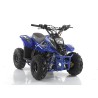 Quad CVM MIKRO 110cc