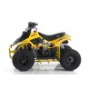Quad CVM MIKRO 110cc