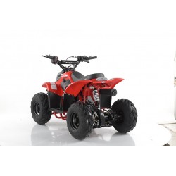 Quad CVM MIKRO 110cc