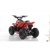 Quad CVM MIKRO 110cc