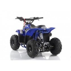 Quad CVM MIKRO 110cc