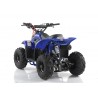 Quad CVM MIKRO 110cc