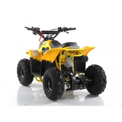 Quad CVM MIKRO 110cc