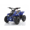 Quad CVM MIKRO 110cc