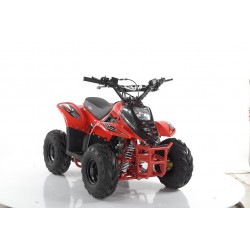 Quad CVM MIKRO 110cc