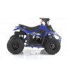 Quad CVM MIKRO 110cc