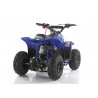 Quad CVM MIKRO 110cc