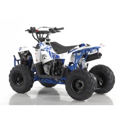 Commander 110cc