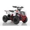 Quad CVM Commander 110cc
