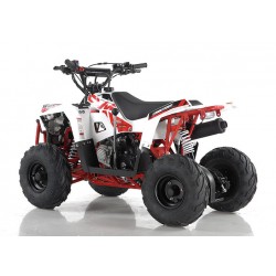 Quad CVM Commander 110cc