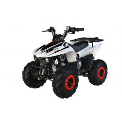 Quad CVM FX SKY 110cc