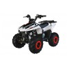 Quad CVM FX SKY 110cc