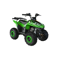 FX SKY 110cc