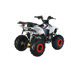 Quad CVM FX SKY 110cc