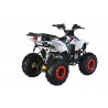 Quad CVM FX SKY 110cc
