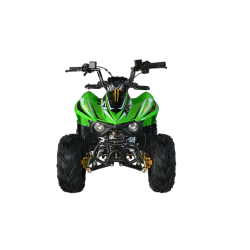 Quad CVM FX SKY 110cc