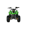 Quad CVM FX SKY 110cc