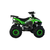 Quad CVM FX SKY 110cc