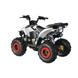Quad CVM FX SKY 110cc
