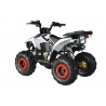 Quad CVM FX SKY 110cc