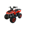 Quad CVM FX SKY 110cc