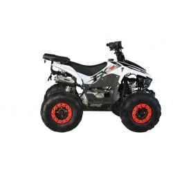 Quad CVM FX SKY 110cc