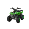Quad CVM FX SKY 110cc